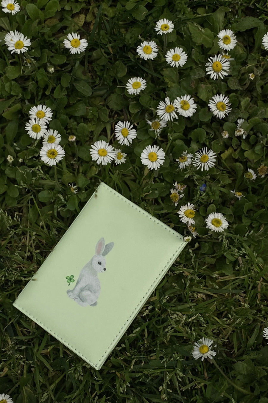Passport Holder Spring